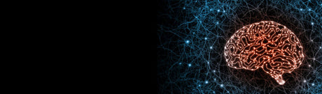 How to improve memory and concentration?