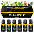 Bilovit Essential Oil Set - The Art of Sauning
