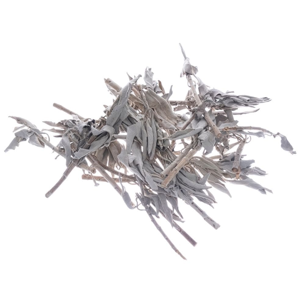 Bilovit Sage White, Leaves - 100 g