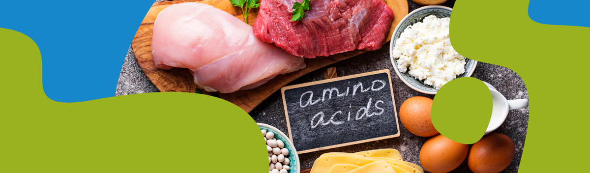 Amino Acids: Types, Functions & Supplements