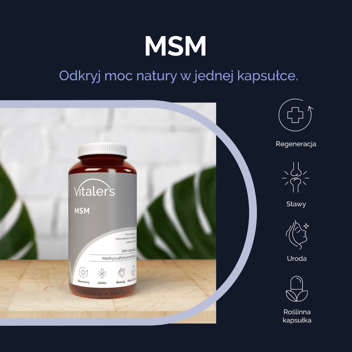 Vitaler's MSM (Organic Sulfur) 700 mg - 120 Capsules